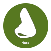 Nose